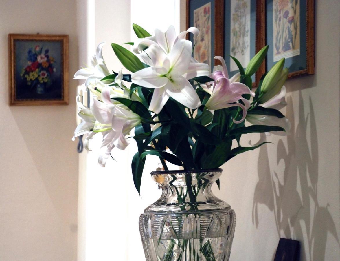 Bed And Breakfast Flowers Janov Exteriér fotografie